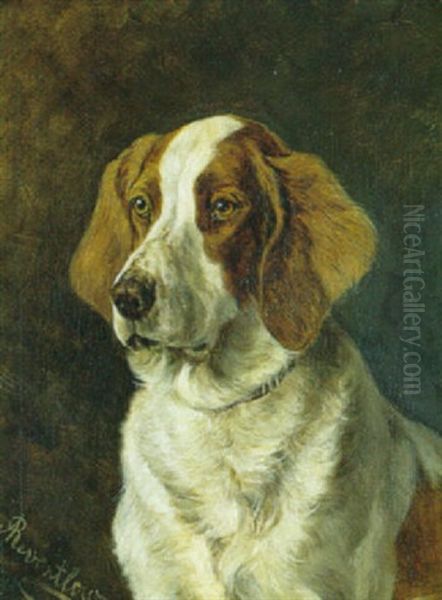 Hundeportraet Oil Painting by Adeline von Reventlow