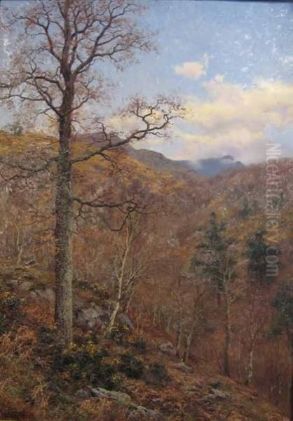 Woodland View Oil Painting by Walter Boodle