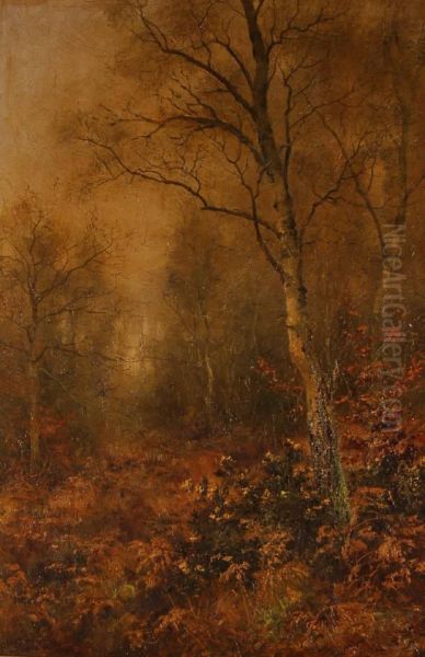 Oil On Canvas, Autumnalwoodland View, Signed, 24