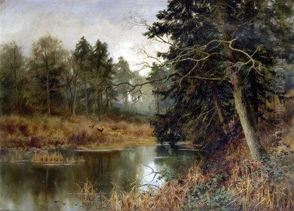 Stag By A Woodland Lake Oil Painting by Walter Boodle