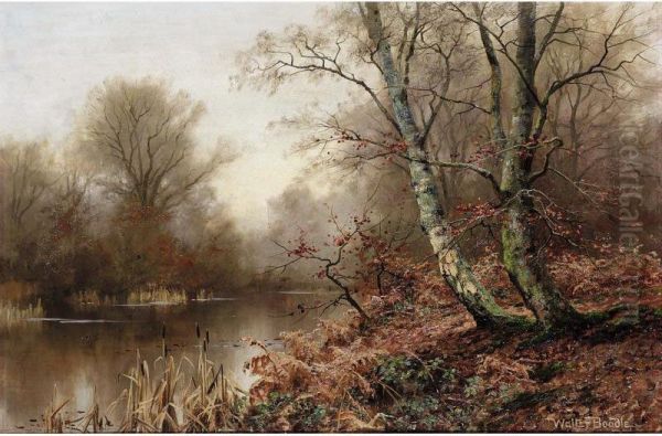 A Woodland Pond Oil Painting by Walter Boodle