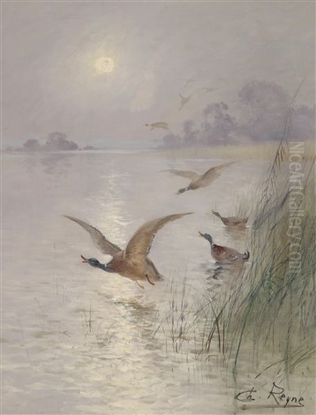 Wildenten Oil Painting by Charles Andre Reyne