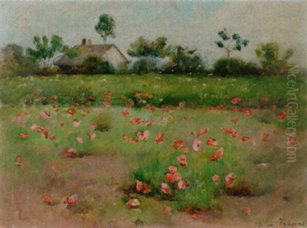 Sommerliches Mohnblumenfeld Oil Painting by Louis Rheiner