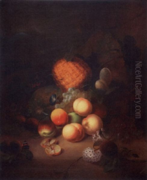 Still Life With Fruit And Insects Oil Painting by Joseph Rhodes