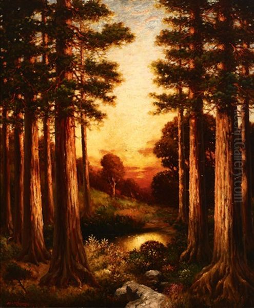 Redwood Sunrise Oil Painting by Richard Dey de Ribcowsky