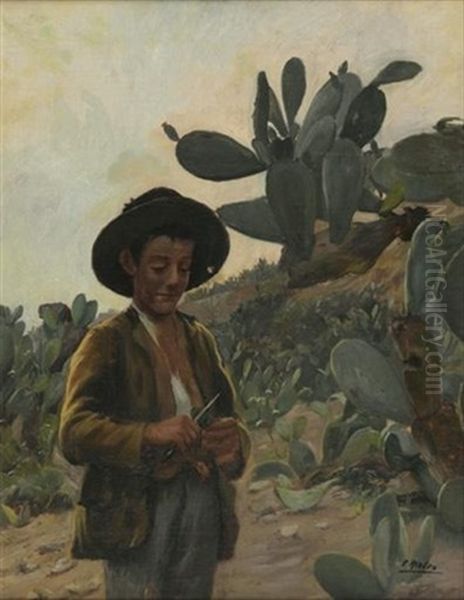 Jeune Garcon Dans Un Champ De Cactus Oil Painting by Pierre Ribera