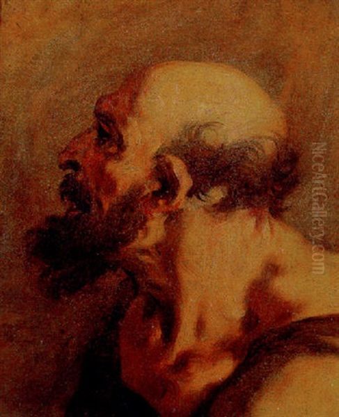 Head Of A Bearded Man Oil Painting by Sebastiano Ricci