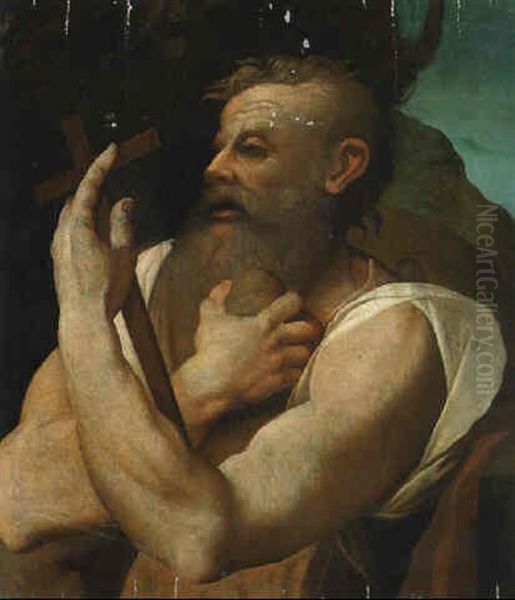 Saint Jerome Oil Painting by Daniele (da Volterra) Ricciarelli