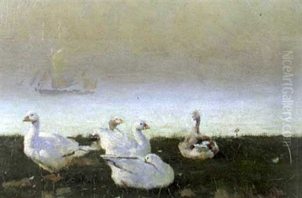 Snow Geese By The Sea Oil Painting by Frank Richards