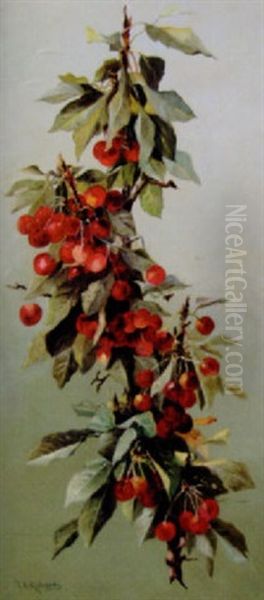 A Bough Of Cherries Oil Painting by Thomas Addison Richards