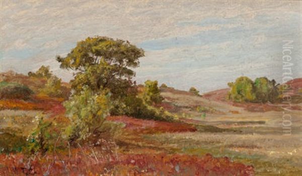 Huckleberry Bushes At Matunuck, Rhode Island Oil Painting by William Trost Richards