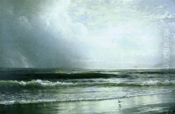 Birds Soaring Off The Coast Oil Painting by William Trost Richards