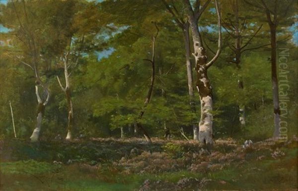 Bruyere Dans Un Sous-bois Oil Painting by Leon Richet