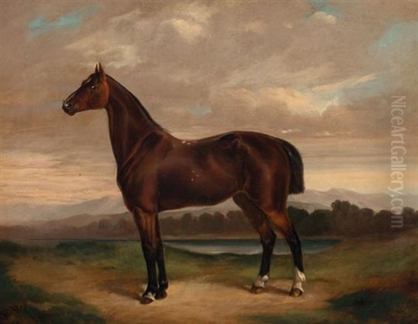 A Horse In A River Landscape Oil Painting by Albert (Adolf) Richter