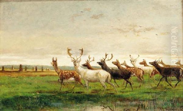 A Herd Of Deer In A Landscape Oil Painting by Albert (Adolf) Richter