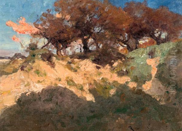 Dunengarten In Abendstimmung Oil Painting by Hugo Richter-Lefensdorf