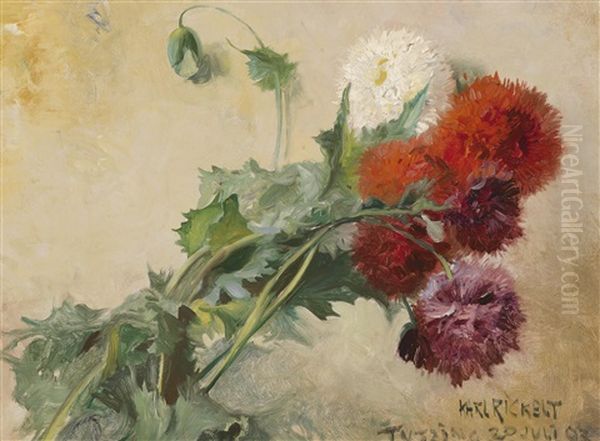 Schlafmohn Oil Painting by Carl Rickelt