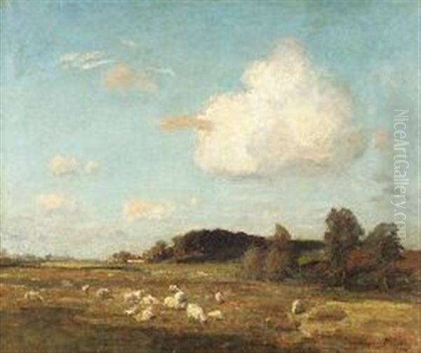 Sheep Grazing In Summer Pasture Oil Painting by James Riddel