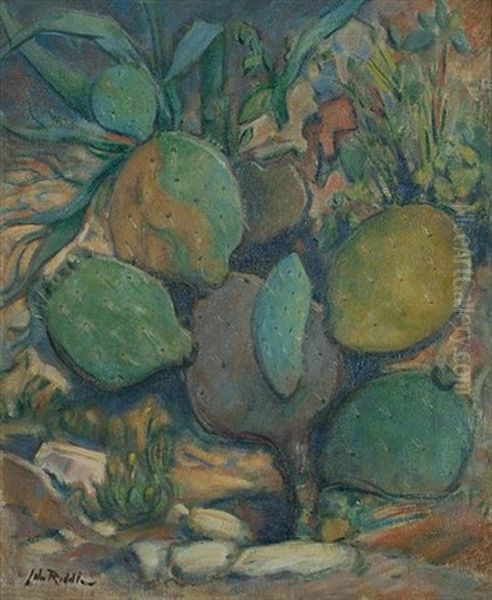 Cactus Oil Painting by John Riddle