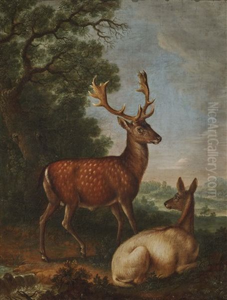 Fallow Deer At The Edge Of The Forest Oil Painting by Johann Elias Ridinger