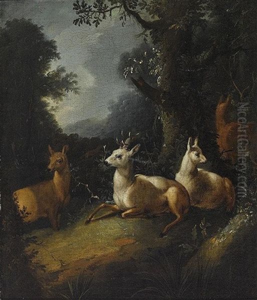 Rehe Auf Der Waldlichtung Oil Painting by Johann Elias Ridinger