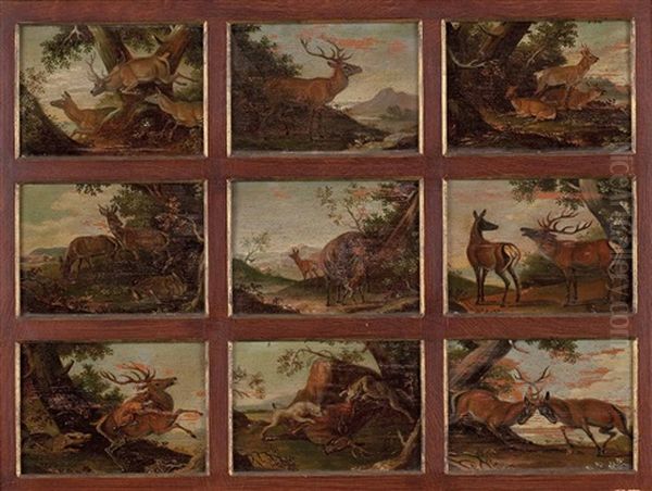 Szenen Aus Dem Leben Der Hirsche Und Rehe (9 Works Framed Together) Oil Painting by Johann Elias Ridinger