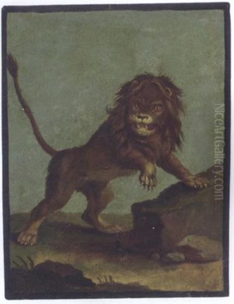 Study Of A Lion Oil Painting by Johann Elias Ridinger