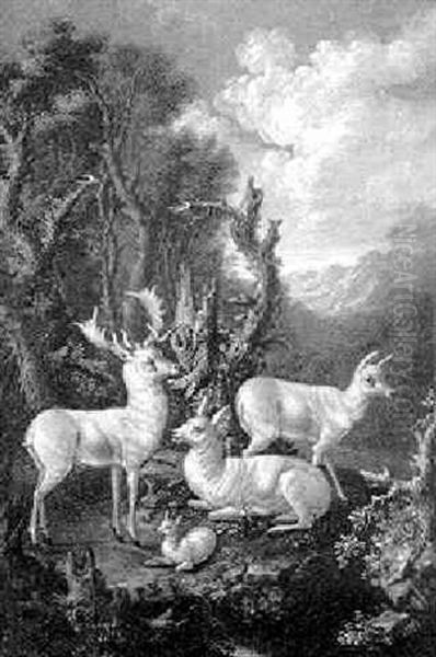 Weise Rehe Auf Einer Waldlichtung Oil Painting by Johann Elias Ridinger