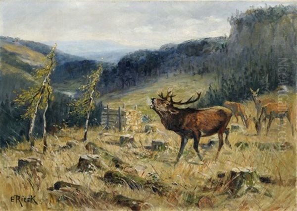 Rotwild Auf Einer Lichtung Im Erzgebirge Oil Painting by Emil Rieck