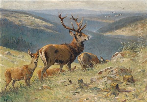 Royal Stag Leading Hinds Oil Painting by Emil Rieck