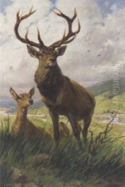 A Stag And Hinds Oil Painting by Emil Rieck