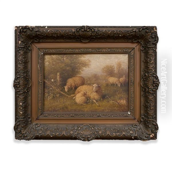 Sheep In A Meadow Oil Painting by George Riecke