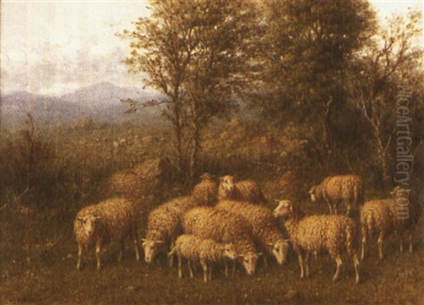 Untitled (sheep In A Meadow) Oil Painting by George Riecke