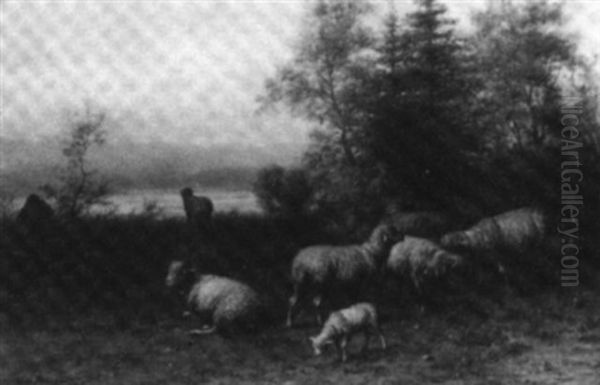 Sheep Grazing Oil Painting by George Riecke