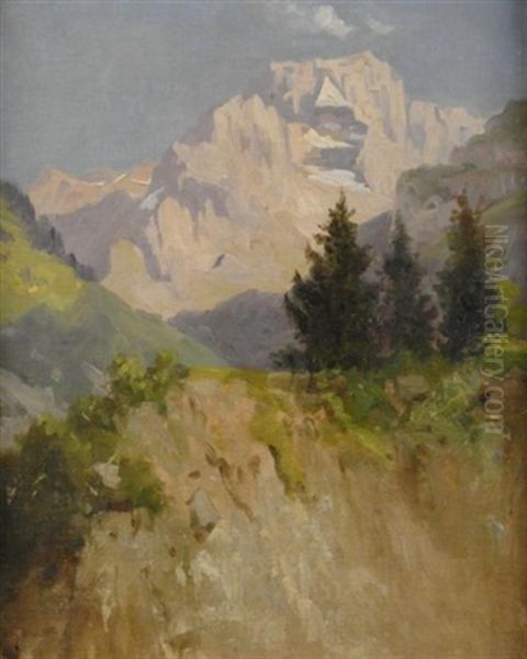 Sommer Im Hochgebirge. Blick Auf Die Tessiner Alpen(?). Studie Oil Painting by Franz Xaver Von Riedmuller