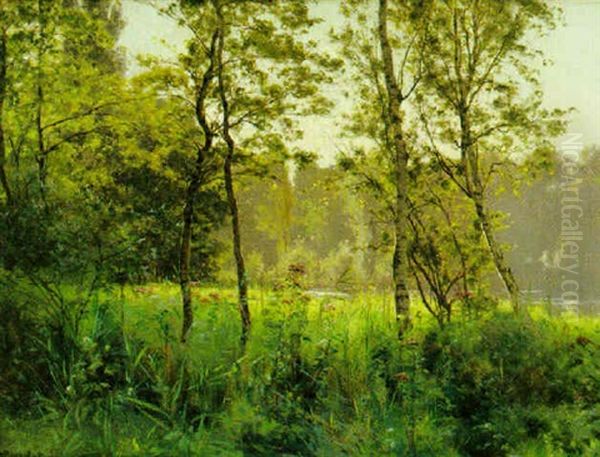 Sommarang Vid Vattendrag Oil Painting by Albert Gabriel Rigolot