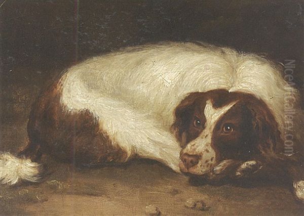 A Sporting Dog Lying Down Oil Painting by Johann Christoph Rincklake