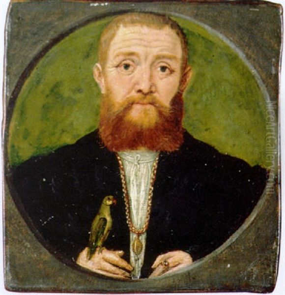 Portrait Of A Man In A Black Jacket And Gold Chain, A Parakeet Resting On His Hand Oil Painting by Ludger Tom Ring the Younger