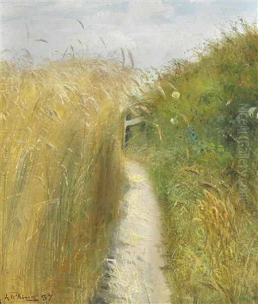 Along The Rye Field Oil Painting by Laurits Andersen Ring