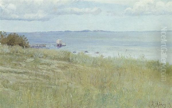 Parti Fra Hellebaek Med Udsigt Mod Kullen Oil Painting by Laurits Andersen Ring