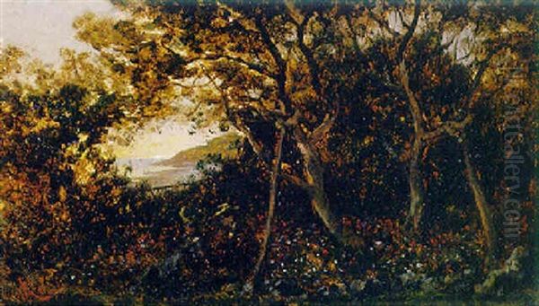 Blick Von  Anhohe Mit Figrenstaffage Auf Abendliche Kustenlandschaft Oil Painting by Edouard Riou