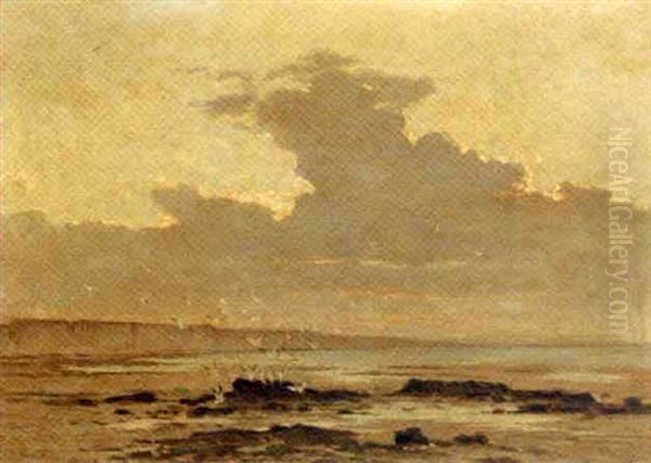 Gulls On A Beach Oil Painting by Edouard (Paul E.) Rischgitz