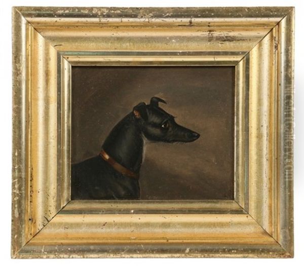 Study Of A Greyhound Dog Oil Painting by Briton Riviere