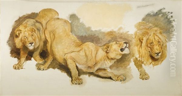 Study For Daniel In The Lions Den Oil Painting by Briton Riviere