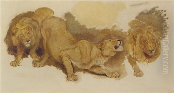 Daniel In The Lion's Den Oil Painting by Briton Riviere