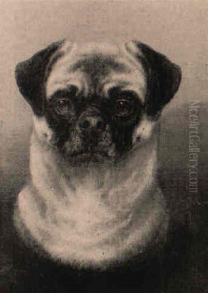 'pucy', A Pug Oil Painting by Briton Riviere