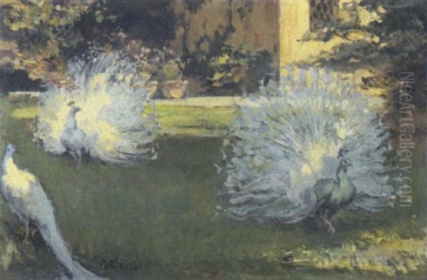 Pavoni In Giardino Oil Painting by Antonio Rizzi