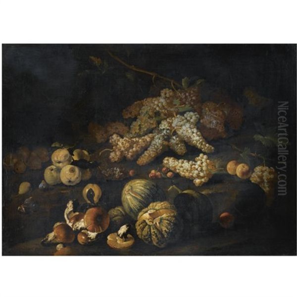 Still Life With Mushrooms, Bunches Of Grapes, Melons And Other Fruit Arranged Over Rocky Ground Oil Painting by Marco Antonio Rizzi