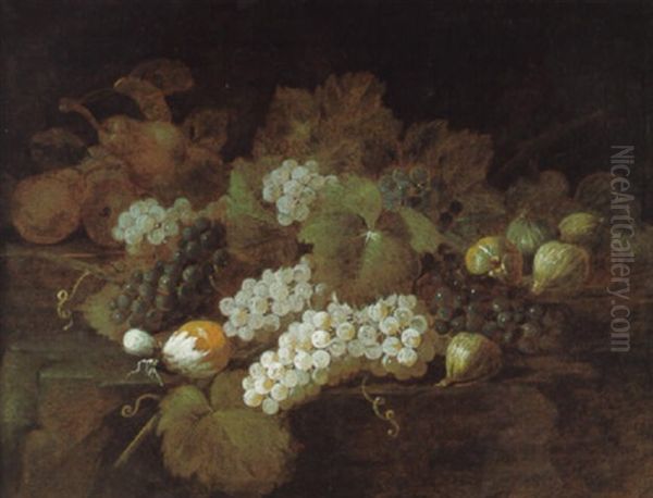 Natura Morta Con Uva E Fichi Oil Painting by Marco Antonio Rizzi