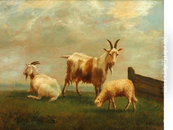 Goats And A Lamb In A Meadow by Louis Robbe